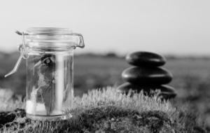 Formation Fleurs de Bach