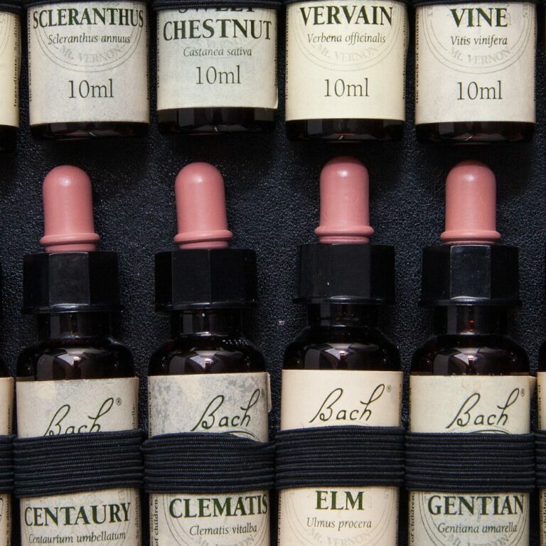 Consultation Fleurs de Bach