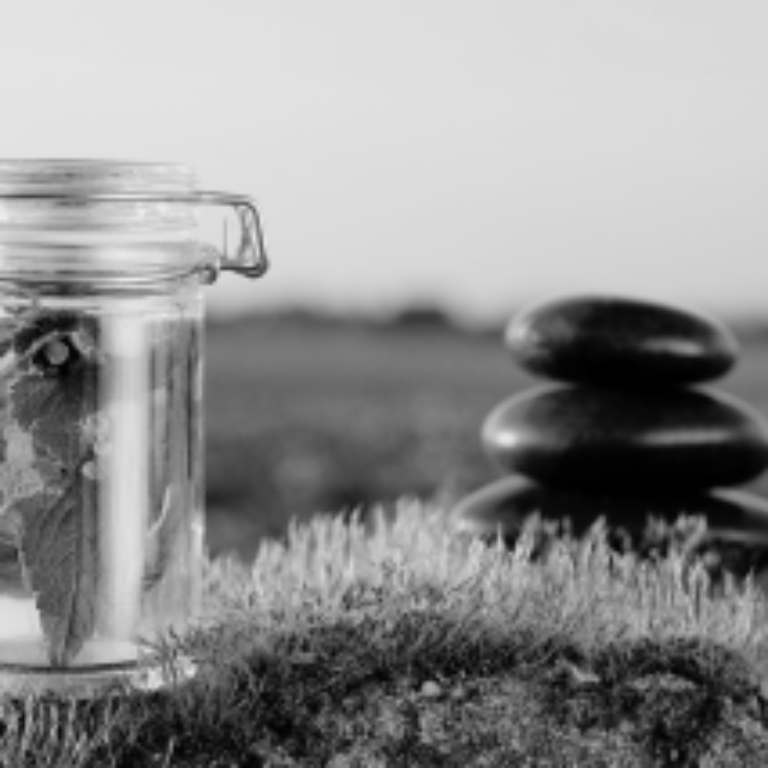 Formation Fleurs de Bach